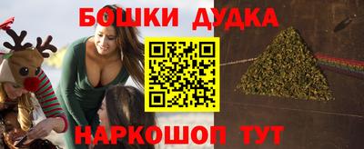 спиды Бийск