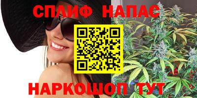 спиды Бийск