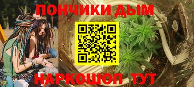 шишки Берёзовский
